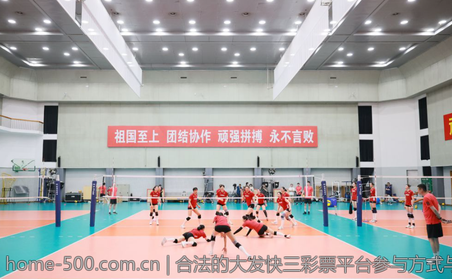 合法的大发快三彩票平台参与方式与技巧
