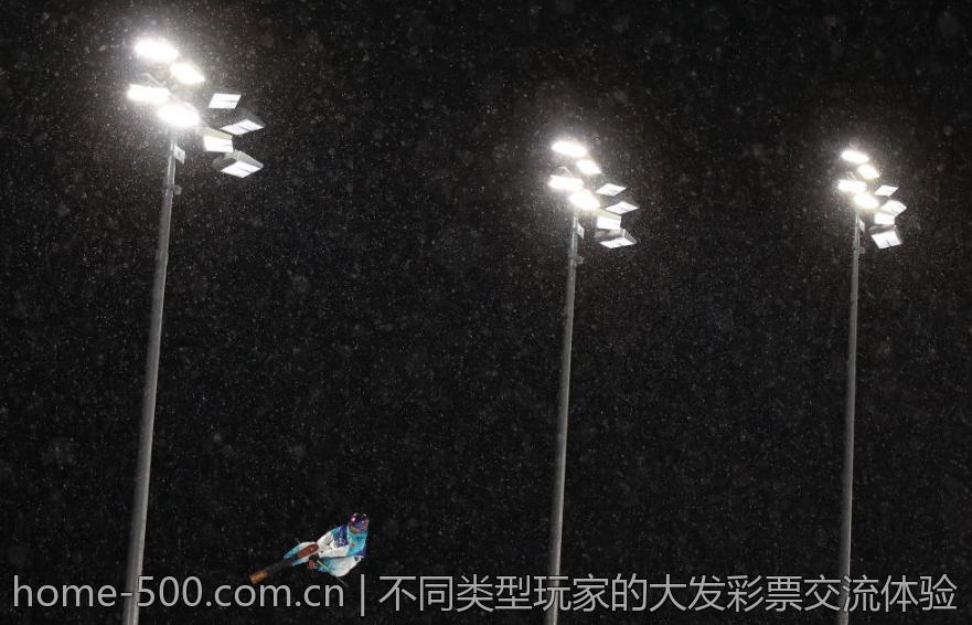 不同类型玩家的大发彩票交流体验